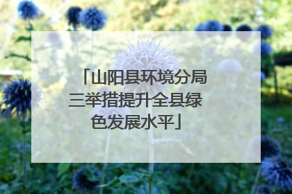 山阳县环境分局三举措提升全县绿色发展水平