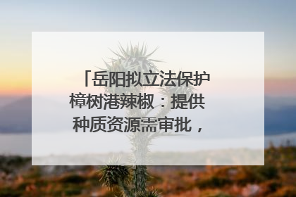 岳阳拟立法保护樟树港辣椒：提供种质资源需审批，违规最高罚5万