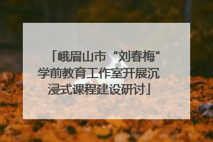 峨眉山市“刘春梅”学前教育工作室开展沉浸式课程建设研讨