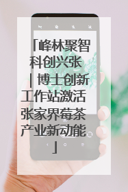 峰林聚智 科创兴张｜博士创新工作站激活张家界莓茶产业新动能