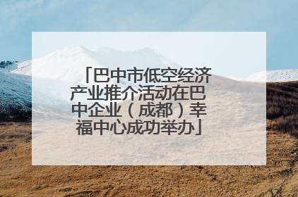 巴中市低空经济产业推介活动在巴中企业（成都）幸福中心成功举办