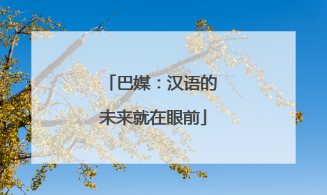 巴媒：汉语的未来就在眼前