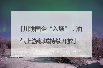 川渝国企“入场”，油气上游领域持续开放