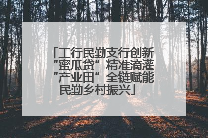 工行民勤支行创新“蜜瓜贷”精准滴灌“产业田”全链赋能民勤乡村振兴