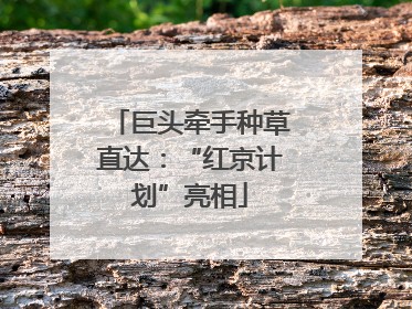 巨头牵手种草直达：“红京计划”亮相