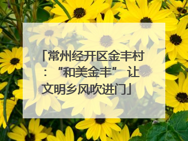 常州经开区金丰村：“和美金丰” 让文明乡风吹进门