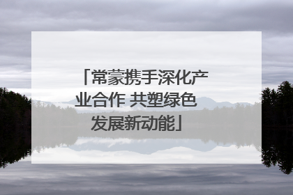 常蒙携手深化产业合作 共塑绿色发展新动能