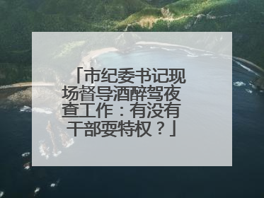 市纪委书记现场督导酒醉驾夜查工作：有没有干部耍特权？