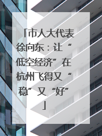 市人大代表徐向东：让“低空经济”在杭州飞得又“稳”又“好”