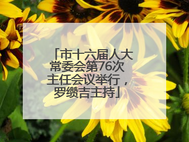 市十六届人大常委会第76次主任会议举行，罗缵吉主持