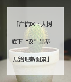 广信区：大树底下“议”出基层治理新图景
