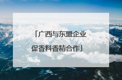 广西与东盟企业促香料香精合作