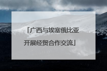 广西与埃塞俄比亚开展经贸合作交流