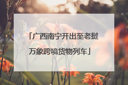 广西南宁开出至老挝万象跨境货物列车