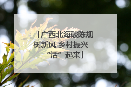 广西北海破陈规树新风 乡村振兴“活”起来