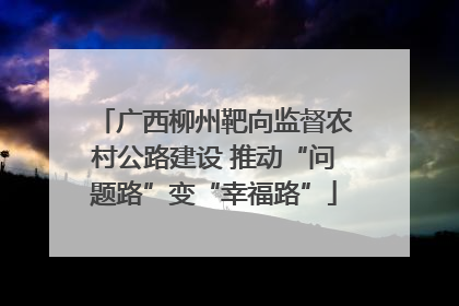 广西柳州靶向监督农村公路建设 推动“问题路”变“幸福路”
