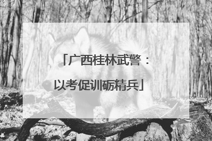 广西桂林武警：以考促训砺精兵