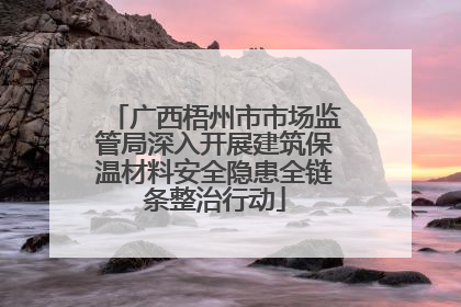 广西梧州市市场监管局深入开展建筑保温材料安全隐患全链条整治行动