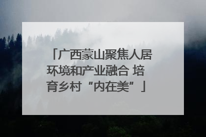 广西蒙山聚焦人居环境和产业融合 培育乡村“内在美”