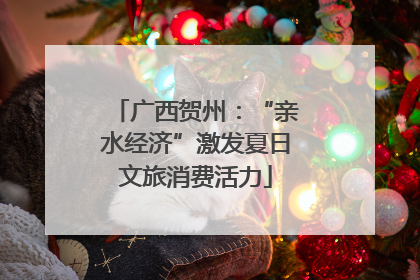 广西贺州：“亲水经济”激发夏日文旅消费活力