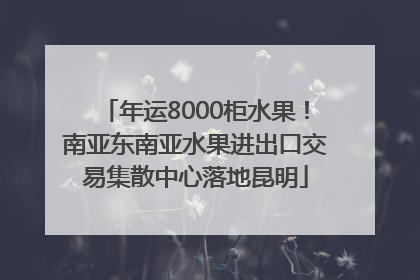 年运8000柜水果！南亚东南亚水果进出口交易集散中心落地昆明