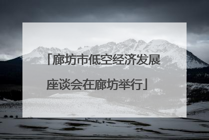 廊坊市低空经济发展座谈会在廊坊举行