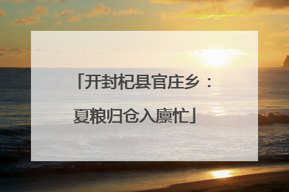 开封杞县官庄乡：夏粮归仓入廪忙
