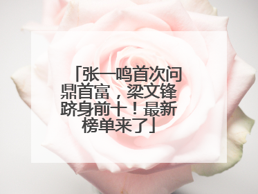 张一鸣首次问鼎首富，梁文锋跻身前十！最新榜单来了