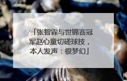 张智霖与世锦赛冠军赵心童切磋球技，本人发声：很梦幻