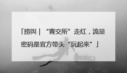 捞舆｜“青交所”走红，流量密码是官方带头“玩起来”