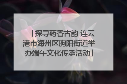 探寻药香古韵 连云港市海州区朐阳街道举办端午文化传承活动