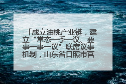 成立油桃产业链，建立“常态一季一议、要事一事一议”联席议事机制，山东省日照市莒县果庄镇——13个党小组“全周期”育果