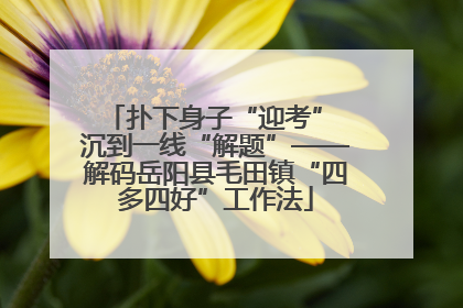 扑下身子“迎考” 沉到一线“解题”——解码岳阳县毛田镇“四多四好”工作法