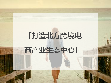打造北方跨境电商产业生态中心