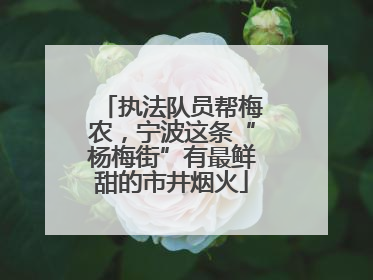 执法队员帮梅农，宁波这条“杨梅街”有最鲜甜的市井烟火
