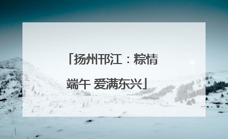 扬州邗江：粽情端午 爱满东兴