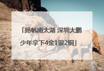 扬帆南太湖 深圳大鹏少年拿下4金1银2铜