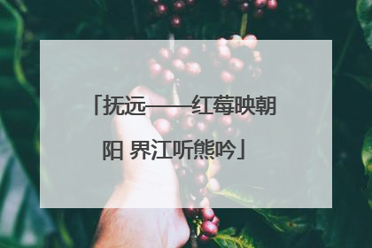 抚远——红莓映朝阳 界江听熊吟