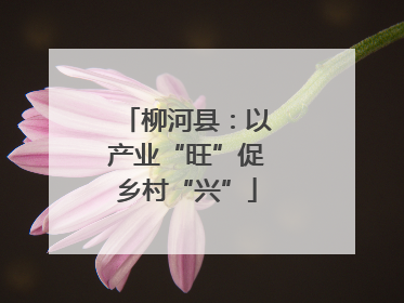 柳河县：以产业“旺”促乡村“兴”
