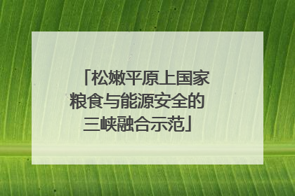 松嫩平原上国家粮食与能源安全的三峡融合示范