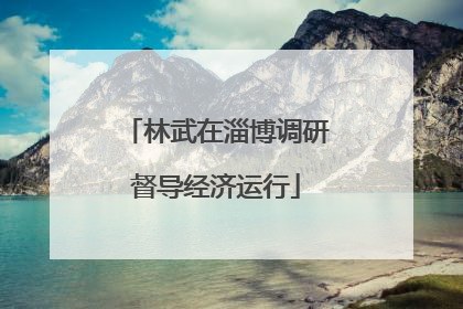 林武在淄博调研督导经济运行