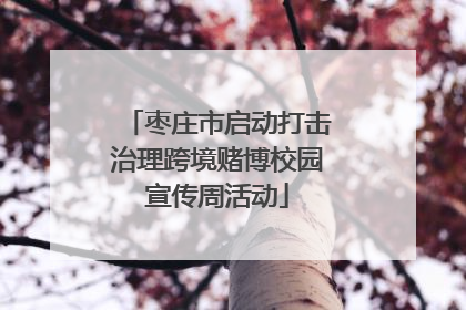 枣庄市启动打击治理跨境赌博校园宣传周活动