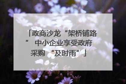 政商沙龙“架桥铺路” 中小企业享受政府采购 “及时雨”
