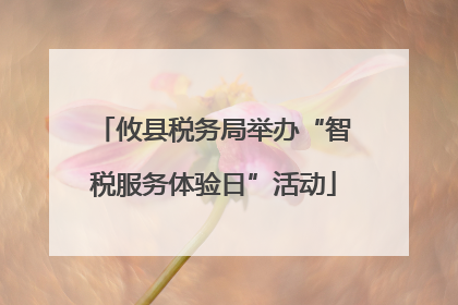攸县税务局举办“智税服务体验日”活动