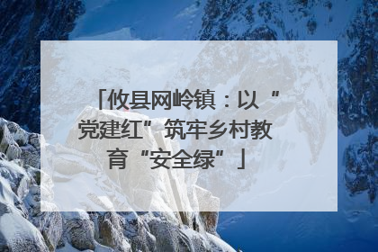 攸县网岭镇：以“党建红”筑牢乡村教育“安全绿”