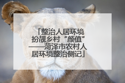 整治人居环境 扮靓乡村“颜值”——菏泽市农村人居环境整治侧记