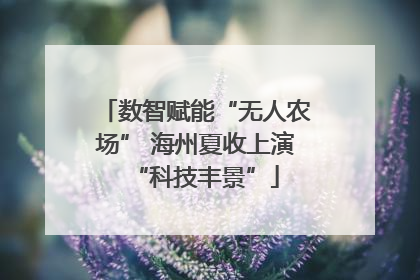 数智赋能“无人农场” 海州夏收上演“科技丰景”