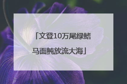 文登10万尾绿鳍马面鲀放流大海