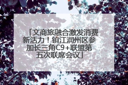 文商旅融合激发消费新活力！镇江润州区参加长三角C9+联盟第五次联席会议