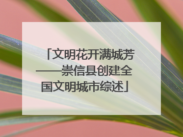 文明花开满城芳——崇信县创建全国文明城市综述